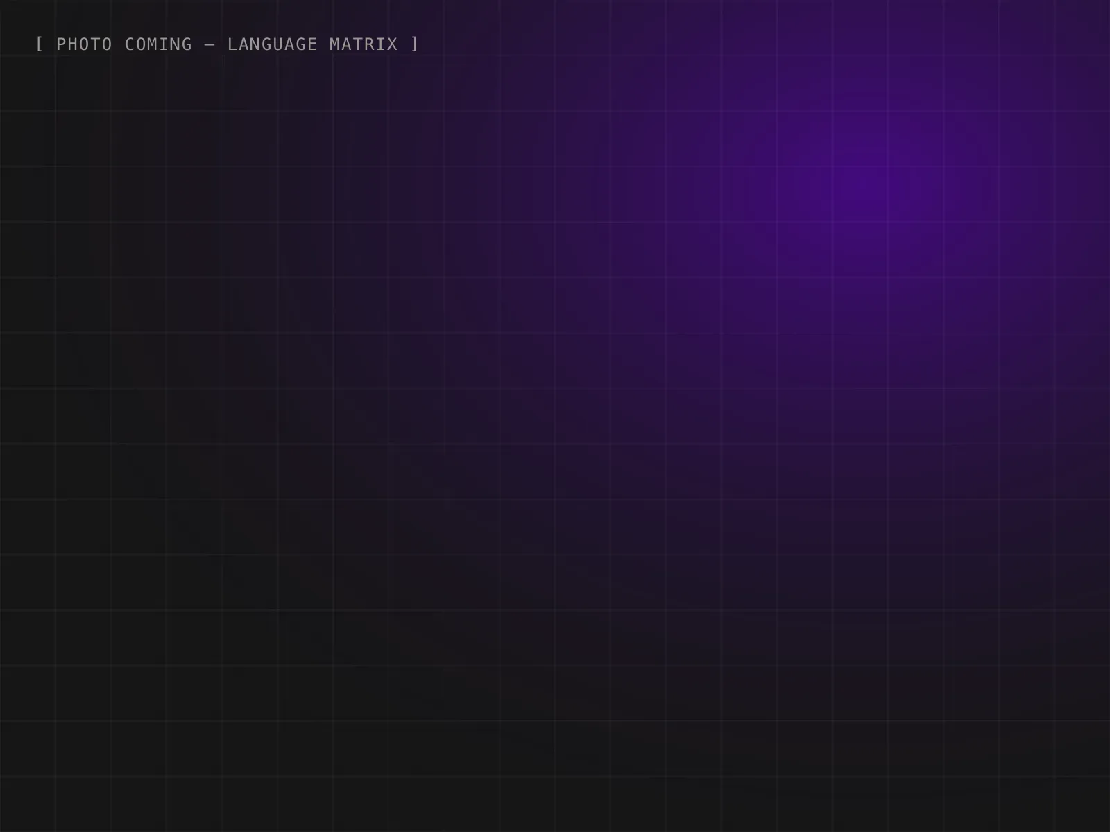 Placeholder cover for Language Matrix